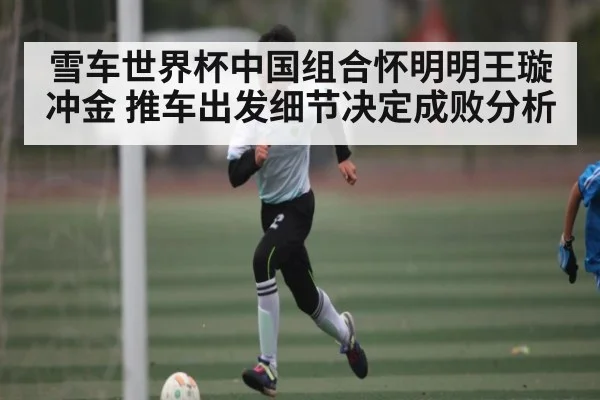 雪车世界杯中国组合怀明明王璇冲金 推车出发细节决定成败分析