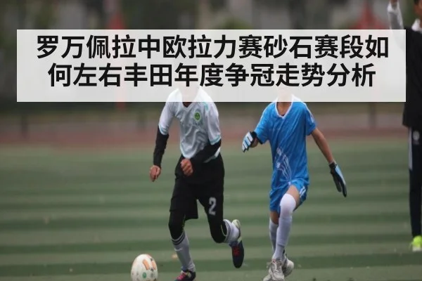 罗万佩拉中欧拉力赛砂石赛段如何左右丰田年度争冠走势分析